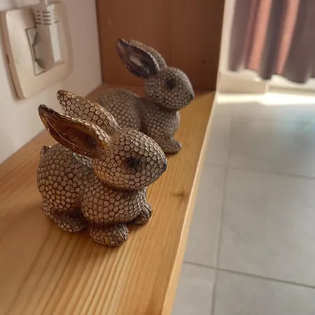 Appartement Xhoi Shëngjin